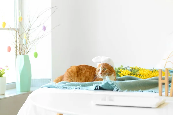 Słodki Kot Króliczych Uszach Leżący Łóżku Święta Wielkanocne — Zdjęcie stockowe
