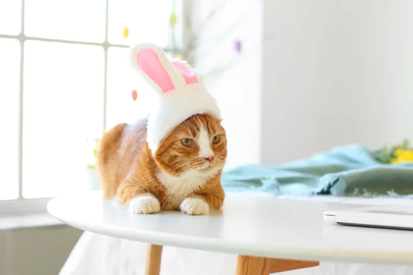 Милая Кошка Кроличьими Ушами Лежащая Столе Спальне Пасхальный Праздник — стоковое фото
