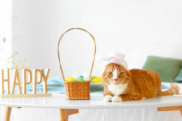 Милая Кошка Кроличьими Ушами Корзинкой Пасхальными Яйцами Лежит Столе Спальне — стоковое фото