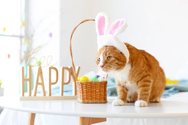 睡房桌上放有兔子耳朵 篮子和复活节彩蛋的可爱猫 — 图库照片