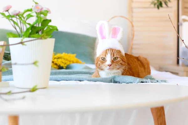 一只长着小兔子耳朵的可爱猫躺在床上 复活节假期 — 图库照片