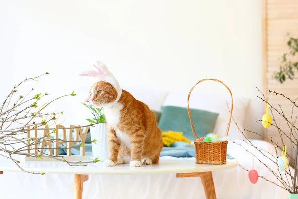 兔子耳朵里有可爱的猫 桌上有复活节彩蛋的篮子 — 图库照片