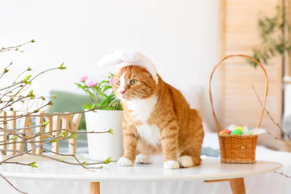 Roztomilá Kočka Králičí Uši Koš Velikonočními Vejci Stole — Stock fotografie