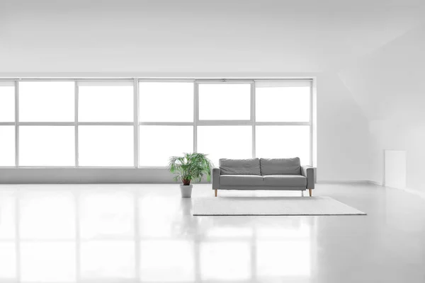 Grey Sofa Carpet Palm Tree Big Light Room — Stock Photo, Image