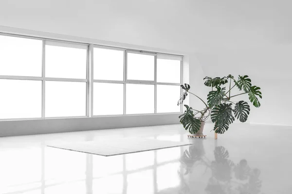 Tropical Plant Carpet Big Empty Room — Stock Photo, Image