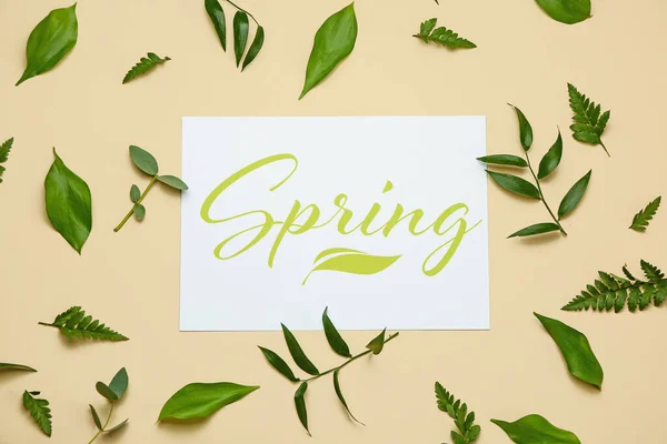颜色背景上带有单词Spring和植物叶子的卡片 — 图库照片