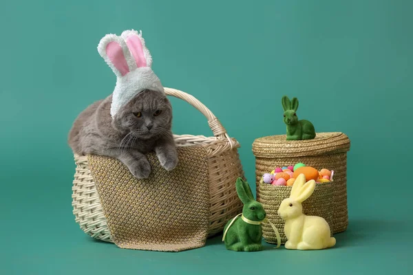 Niedliche Scottish Fold Katze Mit Körben Ostereiern Und Kaninchen Auf — Stockfoto