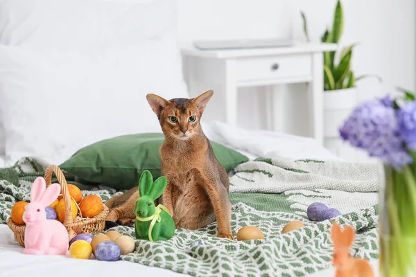 Cute Abyssinian Cat Basket Easter Eggs Bed Home — Stock Photo, Image