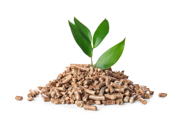 Pile of wood pellets with plant on white background