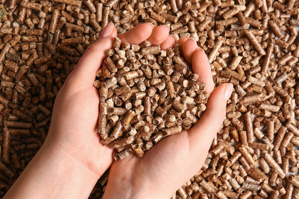 Female hands with pile of wood pellets, closeup