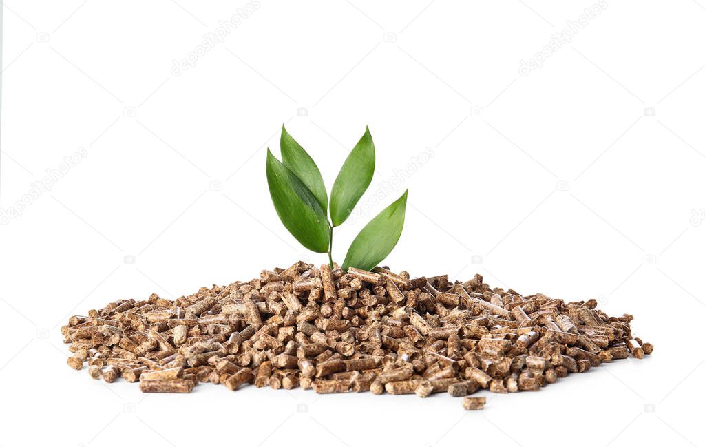 Pile of wood pellets with plant on white background