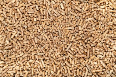 Arkaplan olarak ahşap topaklar, üst görünüm