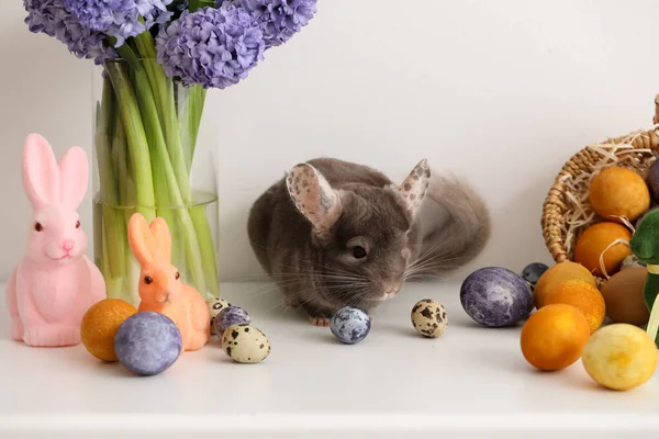 Niedliche Chinchilla Mit Ostereiern Blumen Und Spielzeughasen Auf Hellem Hintergrund — Stockfoto