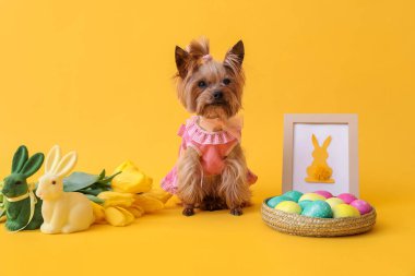 Sevimli küçük köpek, Paskalya yumurtaları, oyuncak tavşanlar ve sarı arka planda çiçekler.