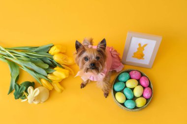 Sevimli küçük köpek, Paskalya yumurtaları, oyuncak tavşanlar ve sarı arka planda çiçekler, üst manzara.