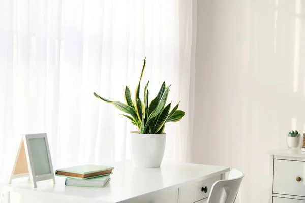 Table Books Houseplant Window — Stock Photo, Image