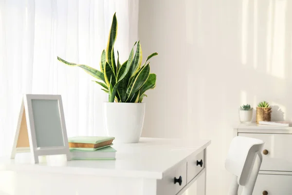 Table Books Houseplant Window — Stock Photo, Image