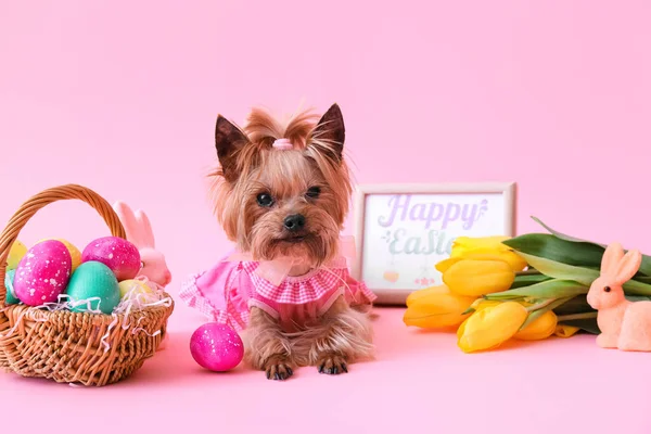 Cão Pequeno Bonito Cesta Páscoa Com Ovos Flores Cartão Saudação — Fotografia de Stock