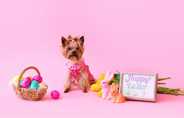 Şirin Küçük Köpek Yumurtalı Paskalya Sepeti Çiçekler Pembe Arka Planda — Stok fotoğraf