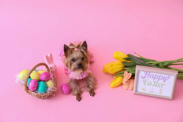 Cão Pequeno Bonito Cesta Páscoa Com Ovos Flores Cartão Saudação — Fotografia de Stock
