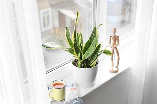 Green Houseplant Cup Tea Magazines Wooden Human Figurine Window Sill — Stock Photo, Image