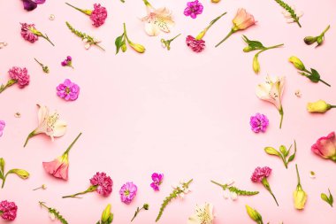 Renkli arkaplanda çiçek açan farklı bir çerçeveden yapılmış