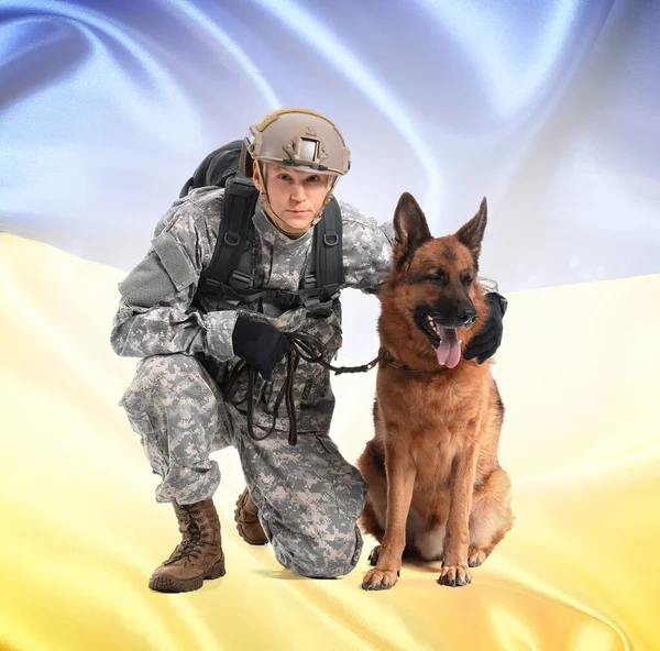 ウクライナの旗に対して軍用作業犬を持つ兵士 — ストック写真