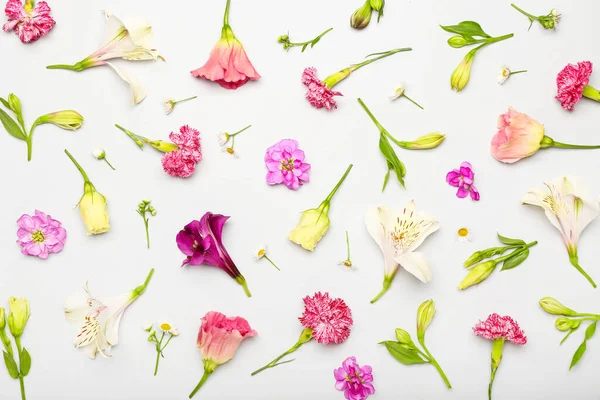 Diferentes Hermosas Flores Sobre Fondo Blanco Primer Plano — Foto de Stock