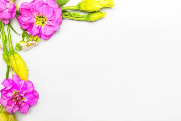 Pierwiosnek Eustoma Kwiaty Rumianku Białym Tle Zbliżenie — Zdjęcie stockowe
