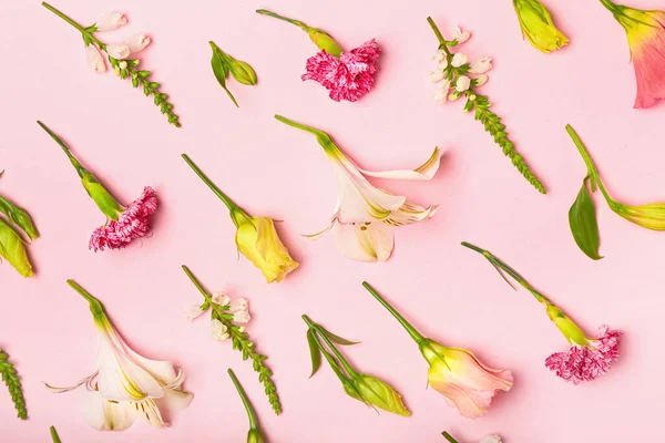 Bloemen Patroon Gemaakt Van Mooie Bloemen Kleur Achtergrond — Stockfoto