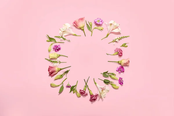 Frame Made Blooming Flowers Color Background — Stock Photo, Image