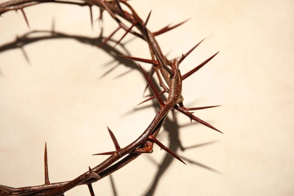 Crown Thorns Light Background Closeup — Stock Photo, Image