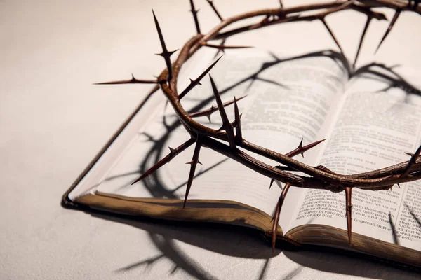 Crown Thorns Holy Bible Light Background Closeup — Stock Photo, Image