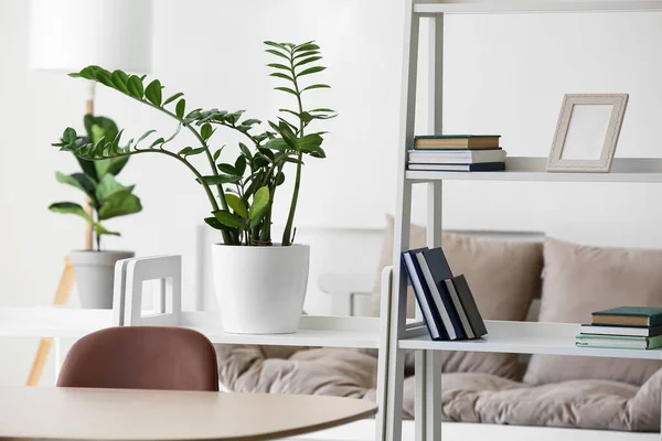 Book Shelves Houseplant Living Room — Stock Photo, Image