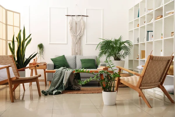 Intérieur Salon Lumineux Avec Canapé Chaises Plantes Intérieur — Photo