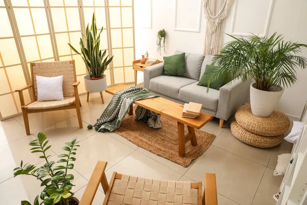 Innenraum Eines Hellen Wohnzimmers Mit Sofa Stühlen Und Zimmerpflanzen — Stockfoto