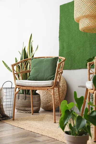 Плетеное Кресло Зеленой Подушкой Комнатными Растениями Гостиной — стоковое фото