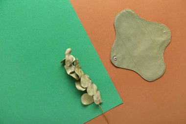 Renk arkaplan üzerinde yeniden kullanılabilir adet pedi ve okaliptüs