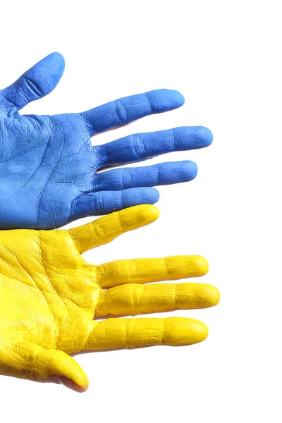 Palmas Pintadas Cores Bandeira Ucraniana Sobre Fundo Branco — Fotografia de Stock