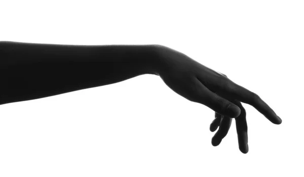 Silhouet Van Vrouwelijke Hand Witte Achtergrond — Stockfoto