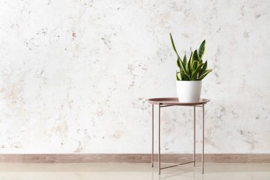 Işık duvarının yanında çiçekli kahve masası.