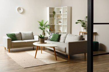 Oturma odasının içinde kahve masası, kanepeler ve bitkiler var.