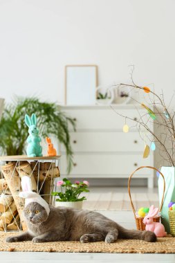 Sevimli İskoç kedisi tavşan kulaklı Paskalya yumurtaları, tavşanlar ve güllerle evde