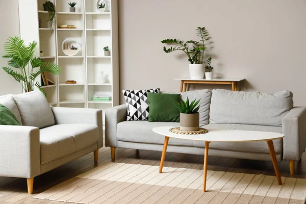Interior Ruang Tamu Cahaya Dengan Meja Kopi Sofa Dan Tanaman — Stok Foto