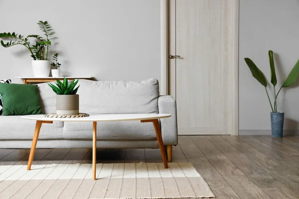Interior Ruang Tamu Cahaya Dengan Meja Kopi Sofa Dan Tanaman — Stok Foto