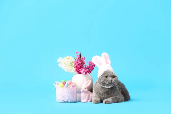 Niedliche Scottish Fold Katze Mit Ostereiern Kaninchen Und Blumen Auf — Stockfoto