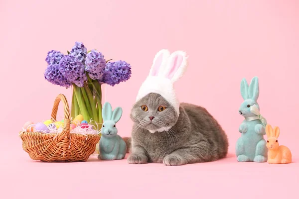 Cute Scottish Fold Cat Easter Eggs Rabbits Flowers Pink Background — Stock Photo, Image