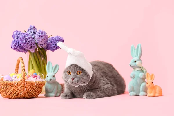Niedliche Scottish Fold Katze Mit Ostereiern Hasen Und Blumen Auf — Stockfoto
