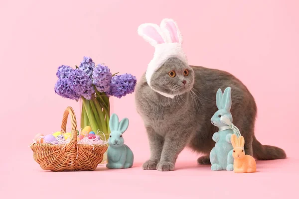 Lindo Gato Fold Escocés Con Huevos Pascua Conejos Flores Sobre — Foto de Stock