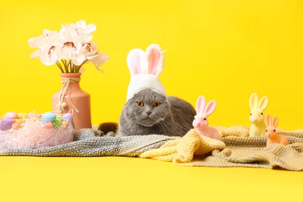 可爱的苏格兰猫 有复活节彩蛋 兔子和黄色背景的花朵 — 图库照片